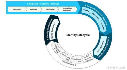 金準(zhǔn)報(bào)告 數(shù)字識別技術(shù)賦能產(chǎn)業(yè)升級——應(yīng)用解析與技術(shù)服務(wù)體系構(gòu)建